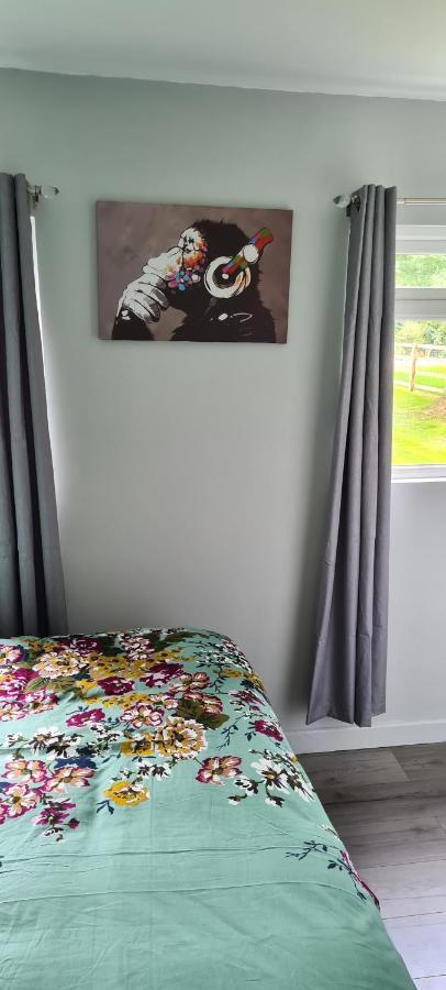 Forget-Me-Not 114 Woodlands Park New Quay Apartment Нюкий Екстериор снимка