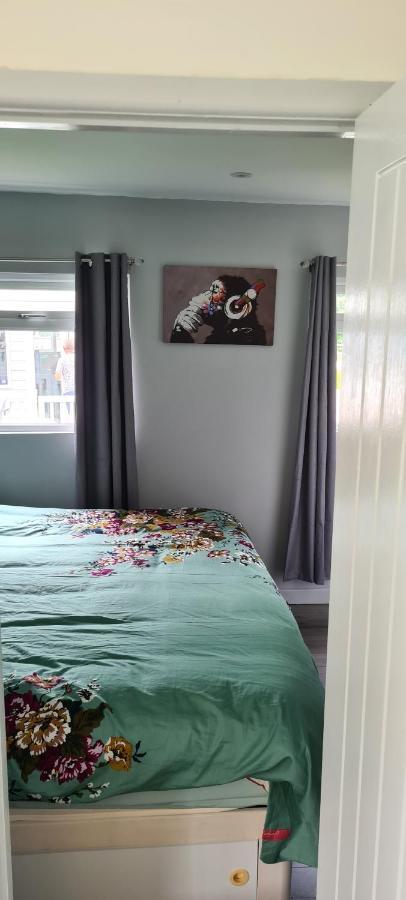 Forget-Me-Not 114 Woodlands Park New Quay Apartment Нюкий Екстериор снимка