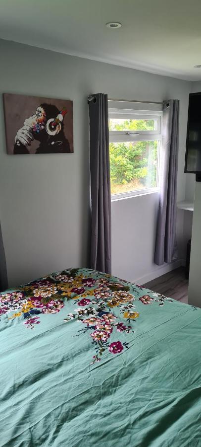 Forget-Me-Not 114 Woodlands Park New Quay Apartment Нюкий Екстериор снимка